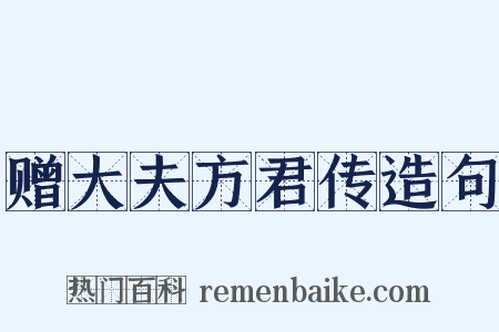 赠大夫方君传造句是什么意思的图片